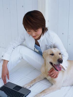 使い勝手に優れるカトラリーが集まる通販